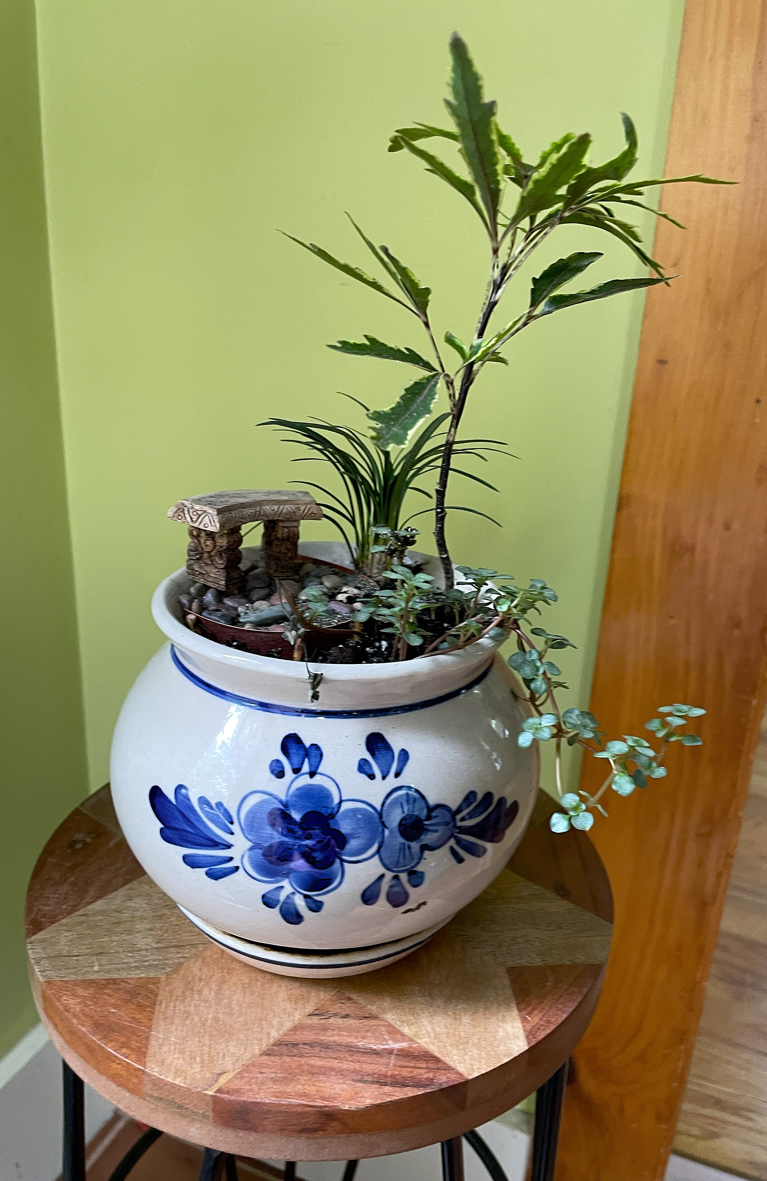 Anna's Garden